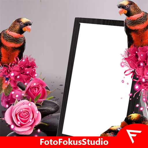 Dusky Lory Insta DP أيقونة