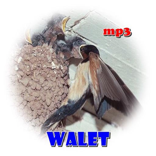 Walet Pemikat Mp3 icon