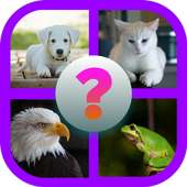 Tebak Gambar Hewan 2020