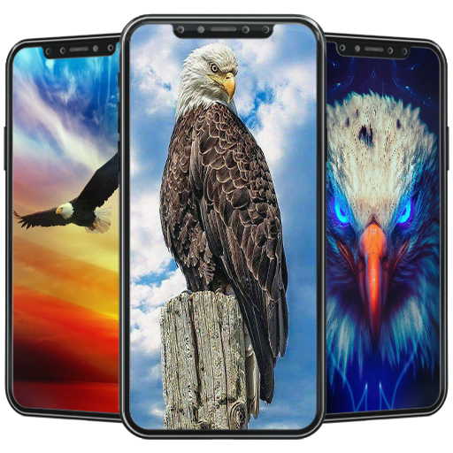 Eagle Wallpaper icon