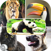 Best animal sounds &amp; ringtones icon