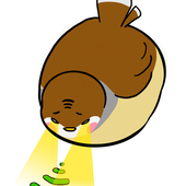 WiFi Auto Manager icon