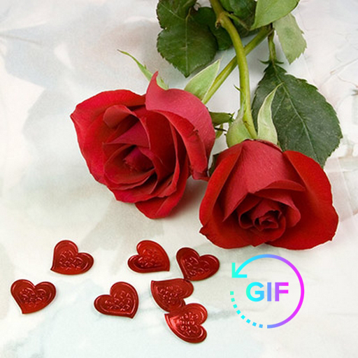 Love Flowers And Roses 🌹 wallpapers GIF 2020 icon