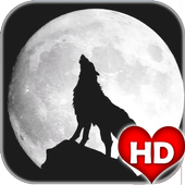 Wolf Wallpapers HD icon