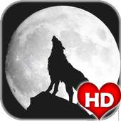 Wolf Wallpapers HD on 9Apps
