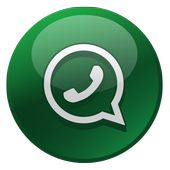 New WhatsApp Status Guide icon