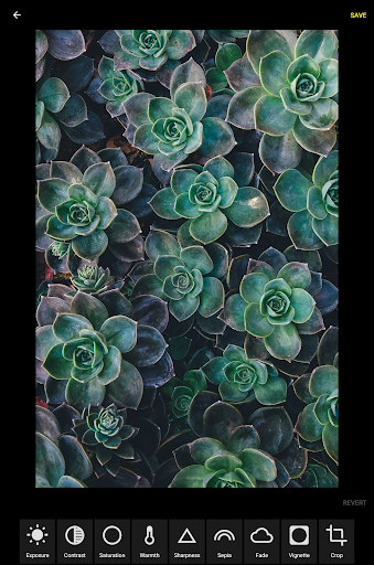 Grafo Photo Studio स्क्रीनशॉट 10