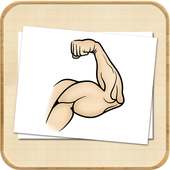 How To Draw Body on 9Apps