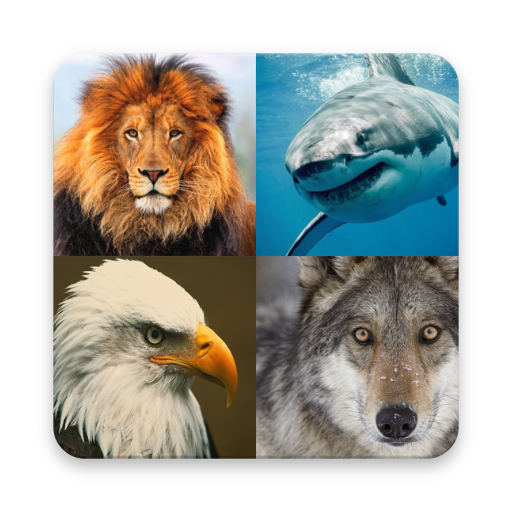 Birds and Animals - Global icon