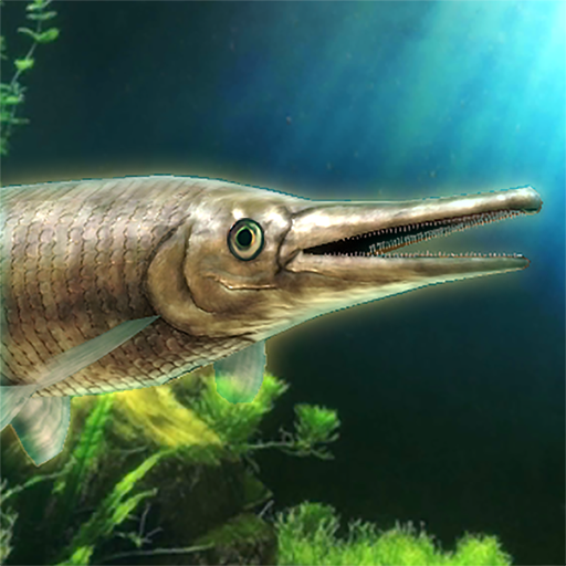 Alligator Gar raising from fry icon
