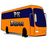 Pakistan Buses