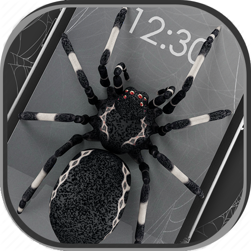 Angry Spiders Live Wallpaper icon
