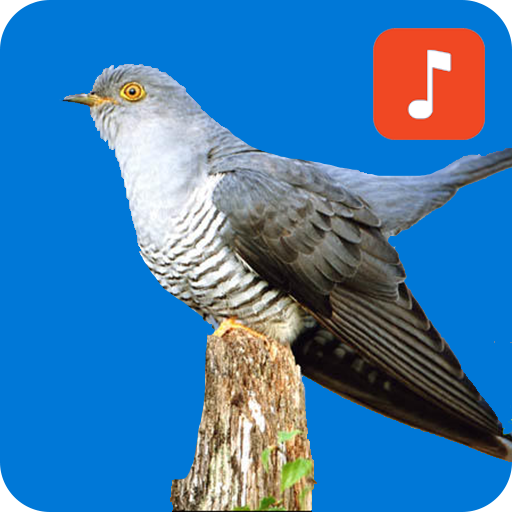 Cuckoo Bird Ringtones icon