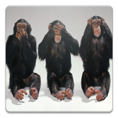 Fotos Divertidas icon