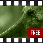 Dog Training Basics FREE icon