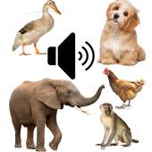 Animal Sounds App for Kids on 9Apps