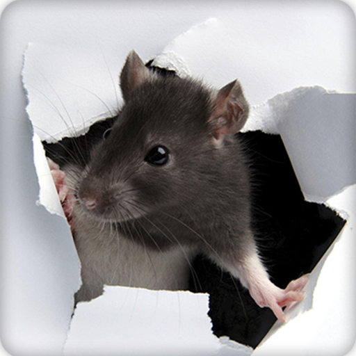 Mouse Sound Ringtones icon