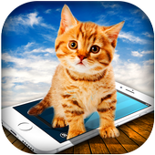 Cat Walk In Phone Prank : Cat on Screen Cute Joke icon