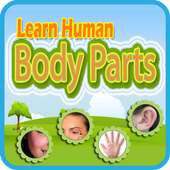 Learn Human Body Parts