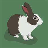 تربية الارانب للمبتدئين on 9Apps