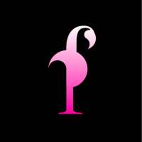 Flamingo on 9Apps