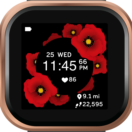 Watch faces for Fitbit Versa 2/Lite/1 icon