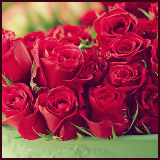 Red Rose Wallpapers icon