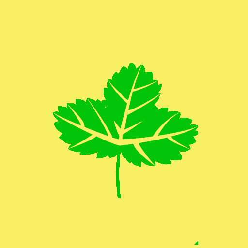 ikon Smart Skin Scanner