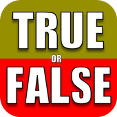 True or False icon