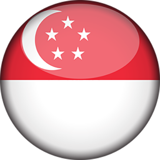 Singapore VPN - Fast VPN icon