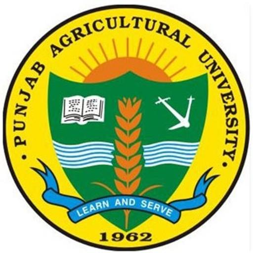 PAU Attendance System icon