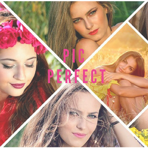 Pic Perfect - Perfect Photo Editor and Selfie Cam icon