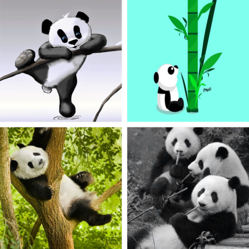 Panda HD Wallpapers icon
