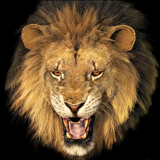 Lion Wallpapers and Keyboard icon