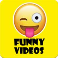 Zilli funny Video Downloader