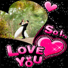 Love Romantic GIF Frames icon
