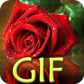 صور ورود متحركه GIF on 9Apps