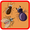 سحق الحشرات - العاب منوعة icon