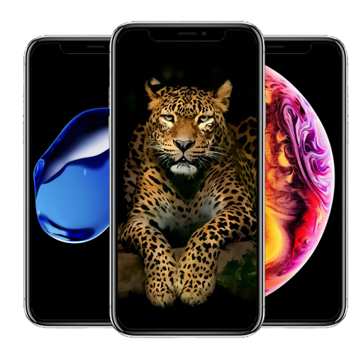 Обои для iPhone 11 фоны iOS 13 иконка