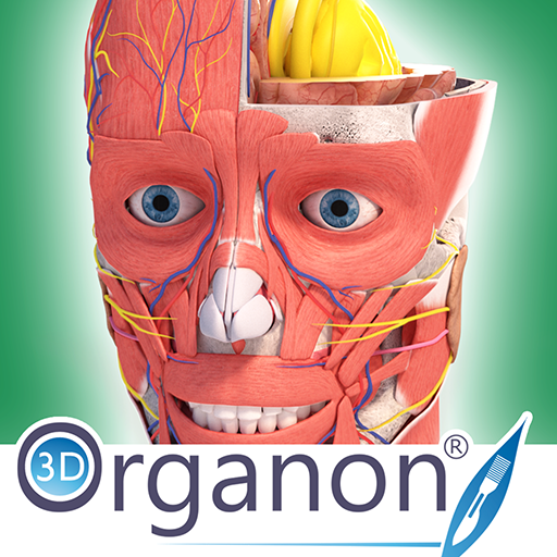 3D Organon Anatomy icon