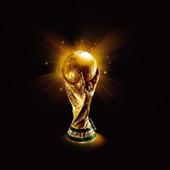 WORLD CUP icon