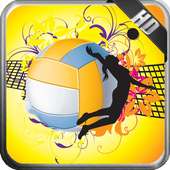 Volleyball Wallpaper on 9Apps