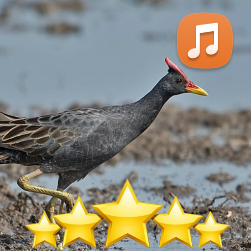 Watercock Bird Sound App 🐔 icon