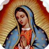 Oracion a la Virgen de Guadalupe on 9Apps