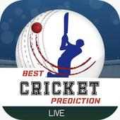 Crick T20 Prediction