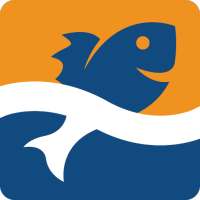 Fishing Forecast - TipTop App