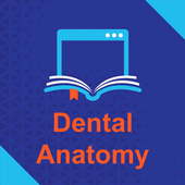 Dental Anatomy icon