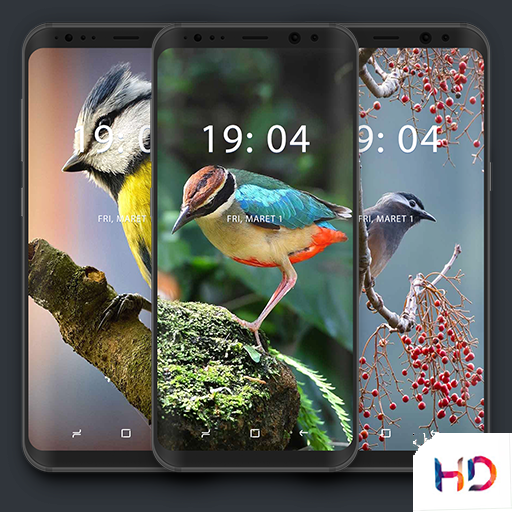 Bird Wallpapers 🦜 icon