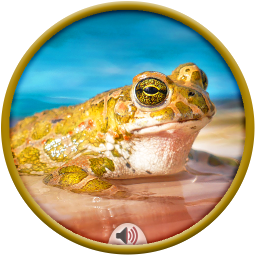Frog Sounds icon