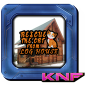Can You Escape Cat From House icon
